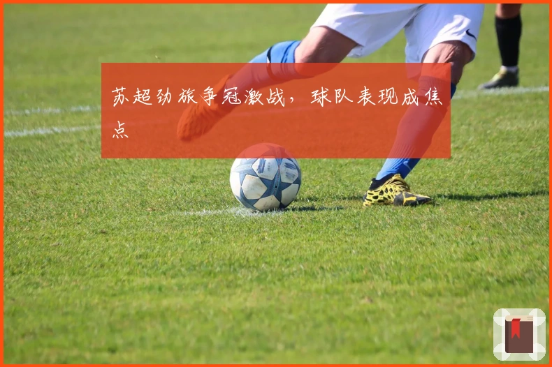 苏超劲旅争冠激战，球队表现成焦点